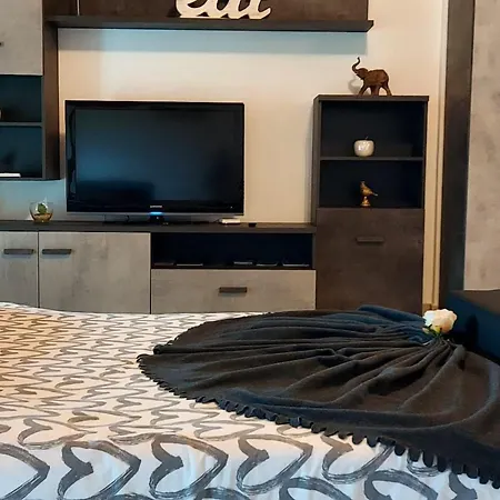 Appartement Entspannende Ferien Im Gruenen Gambarogno By Interhome